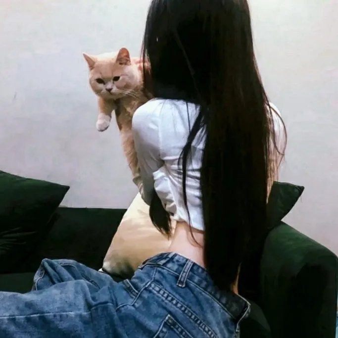 可可西里